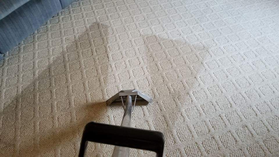 Professional Carpet and Upholstery Cleaning in Marietta, Ohio