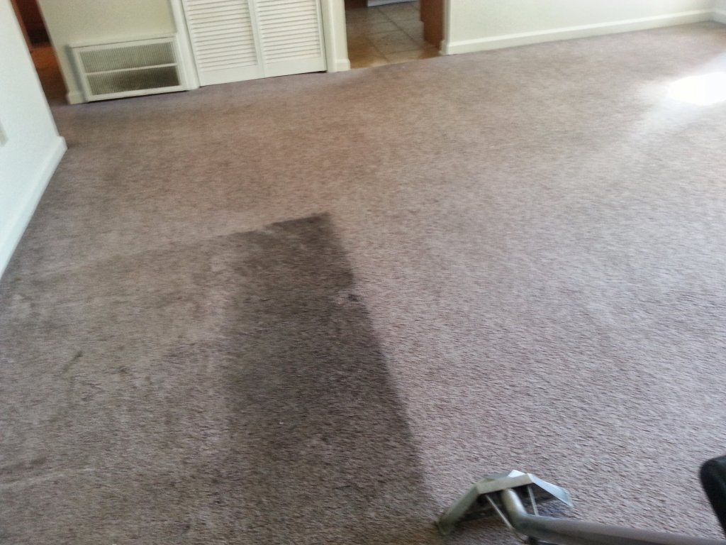 We provide top-notch cleaning services for residential and rental properties.