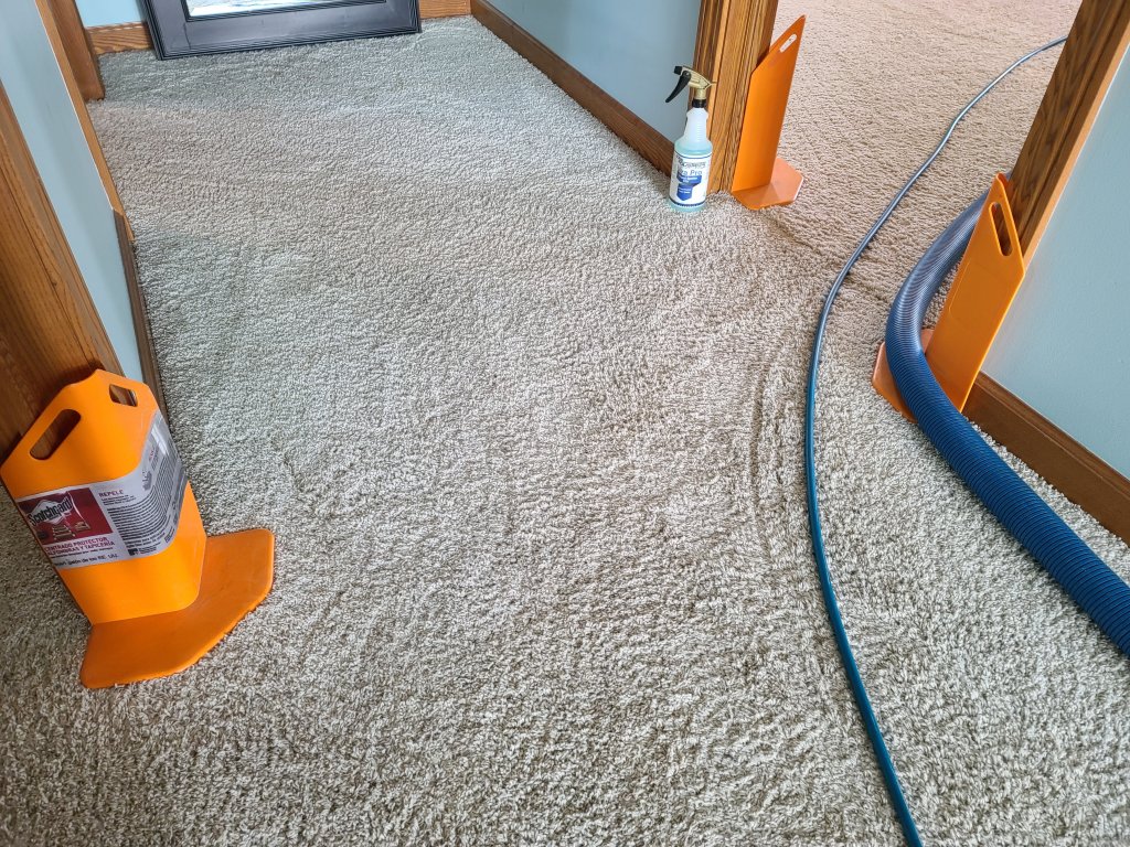 Professional Carpet and Upholstery Cleaning in Parkersburg