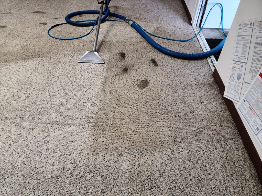 Carpet with excessive spots