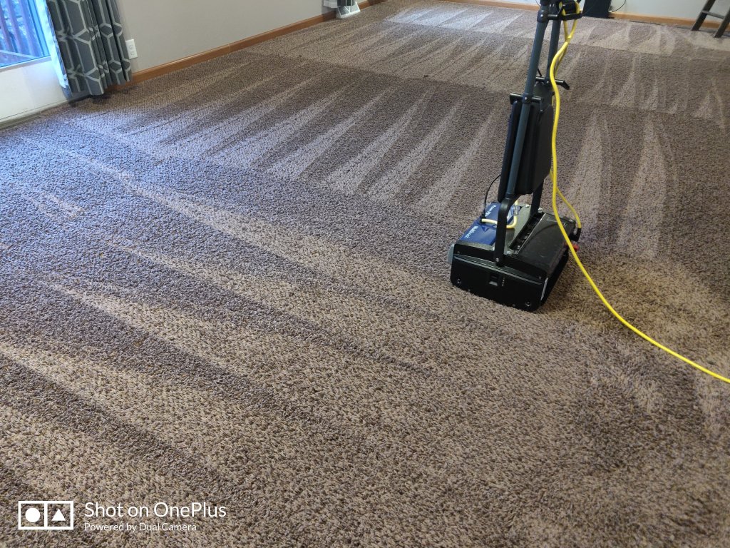 Our advanced carpet cleaning techniques remove dirt, stains, and allergens. 